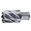 HSS Annular Cutter with Weldon Shank,Annular Cutter