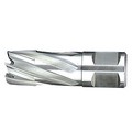HSS rail cutter with weldon shank,Rail Cutter