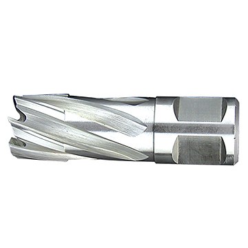 HSS rail cutter with weldon shank