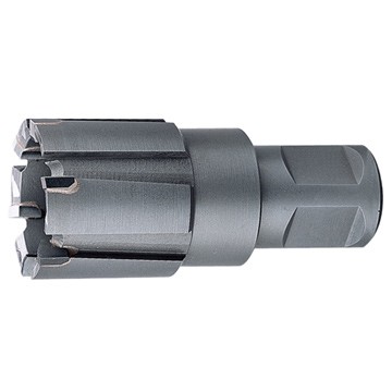 T.C.T rail cutter with Weldon shank